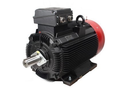Industriele elektriese motors